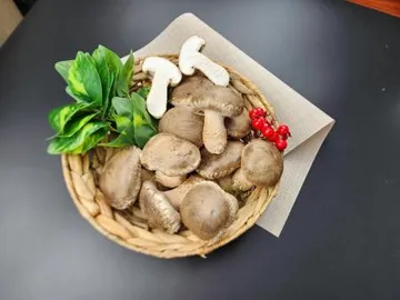 솔 송화버섯 업소용(식당용) 5kg - 송화, 송고, 송이향