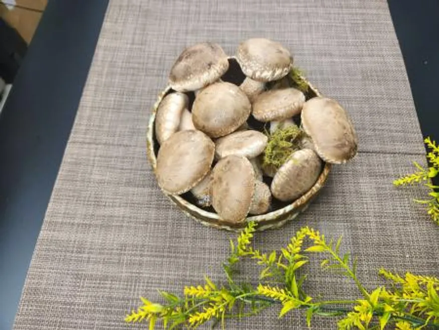 솔 송화버섯 업소용(식당용) 10kg - 송화, 송고, 송이향 이미지