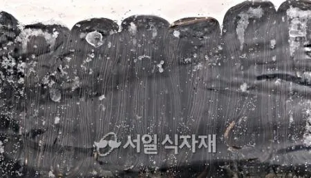 맛찬들 백미 칡냉면 업소용 대용량 2kg (10인분) 이미지