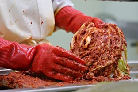 인정 보쌈배추김치 업소용 10kg  이미지