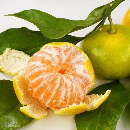 새콤달콤 제주 타이백 감귤 4.5kg L-2L