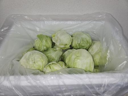 Green one 양상추 샐러드용 6kg(스티로폼)