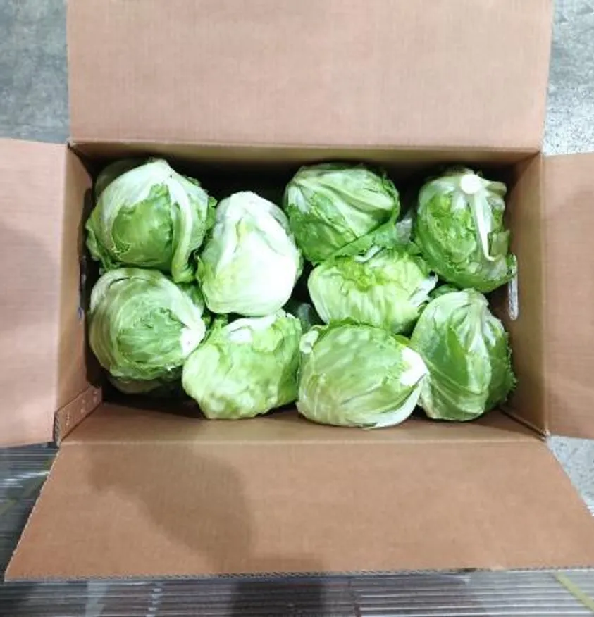 Green one 깐양상추,샐러드용 5kg 내외 (종이) 이미지