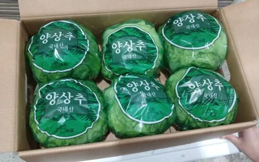 Green one 양상추 6통 개별포장 (종이) 이미지