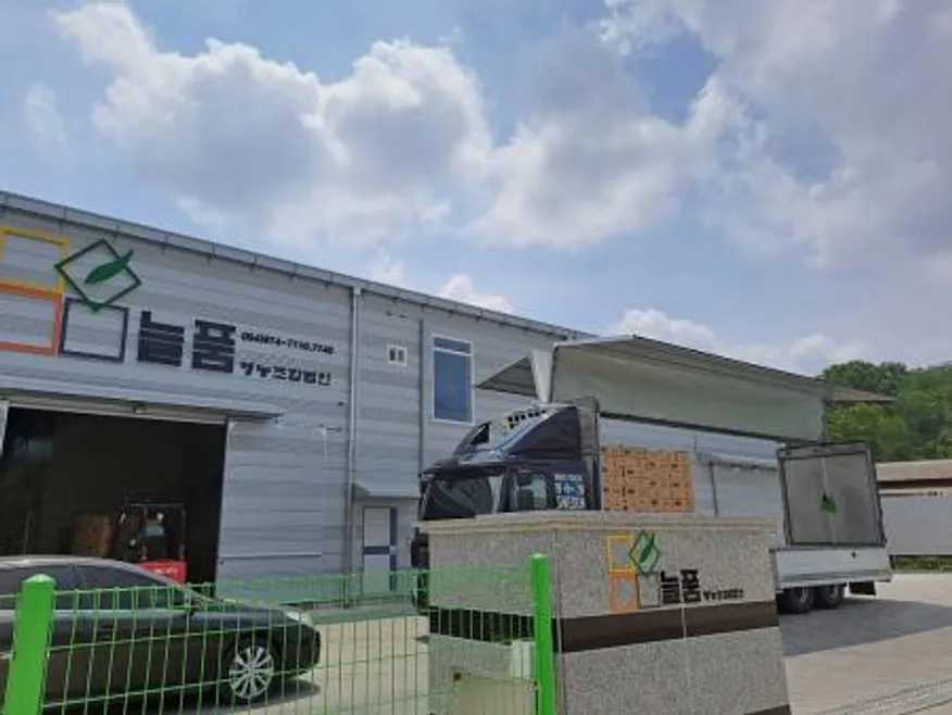 Green one 양상추 12통 개별포장 (종이) 이미지