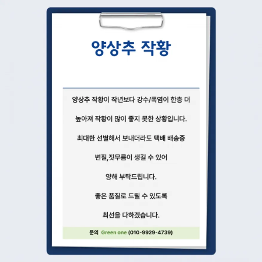 Green one 양상추 12통 벌크(스티로폼) 이미지