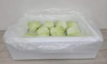 Green one 양상추 샐러드용 3kg(스티로폼)