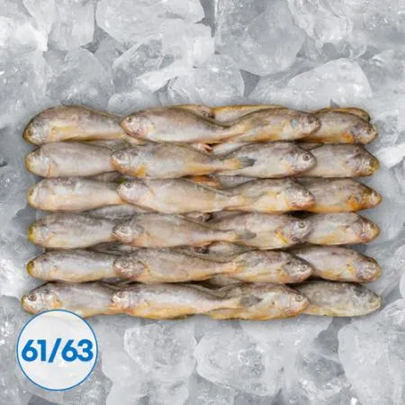 조기 참조기 61/63미 3.5kg 매운탕 조림 구이