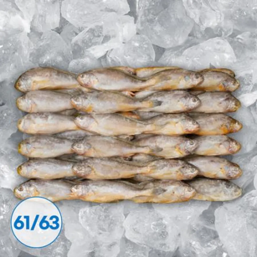 조기 참조기 61/63미 3.5kg 매운탕 조림 구이 이미지
