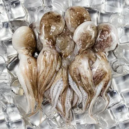 업소용 대용량 냉동쭈꾸미 15미 2.16kg 벌크 손질 생물 주꾸미 볶음용 이미지