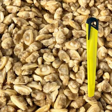 업소용 자숙 바지락살 10kg (냉동, 조개살)