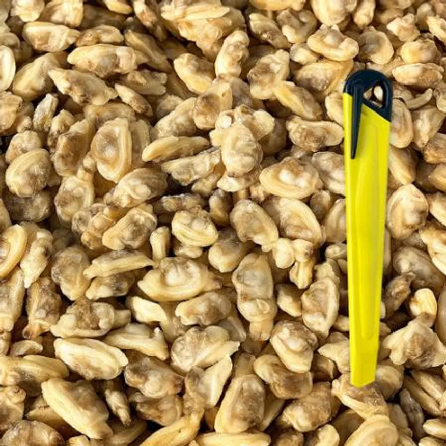 업소용 자숙 바지락살 10kg (냉동, 조개살) 이미지