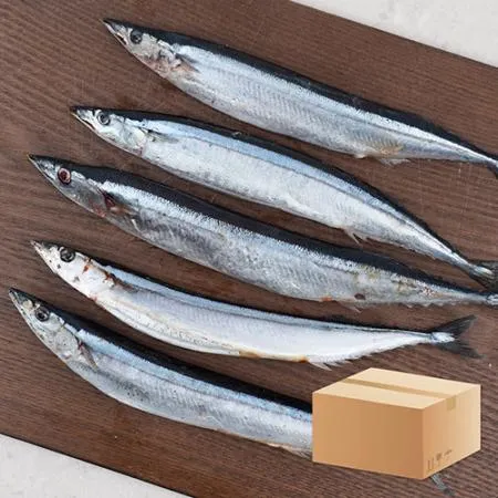 업소용 대용량 꽁치 18kg(9kg x 2박스) 냉동꽁치 2번 구이용 낚시용 생선
