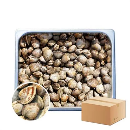 백합 조개 10kg (백상합, 칼국수, 찜, 구이)