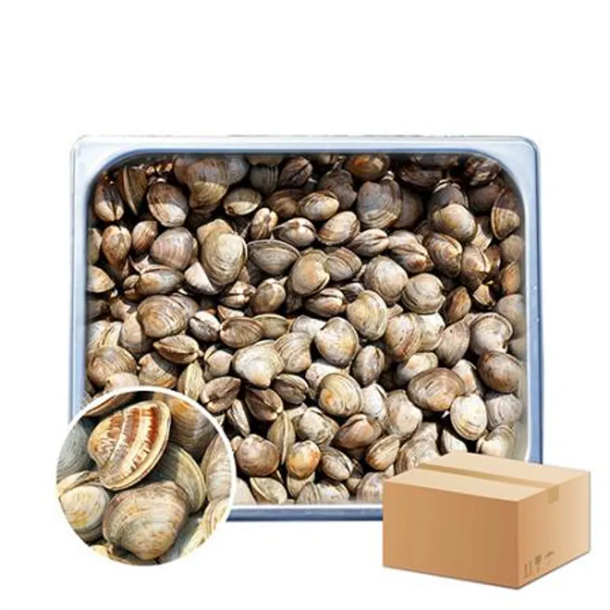 백합 조개 10kg (백상합, 칼국수, 찜, 구이) 이미지
