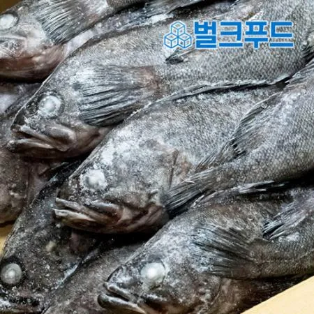 냉동 우럭 7.5kg (300/400g, 우럭찜, 우럭매운탕) 이미지