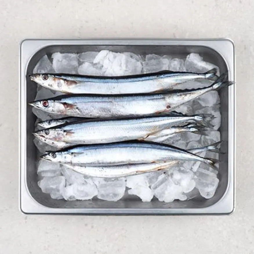 업소용 대용량 꽁치 9kg 냉동꽁치 2번 구이용 낚시용 생선 이미지