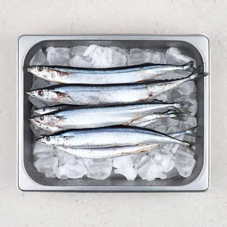 업소용 대용량 꽁치 9kg 냉동꽁치 2번 구이용 낚시용 생선 이미지