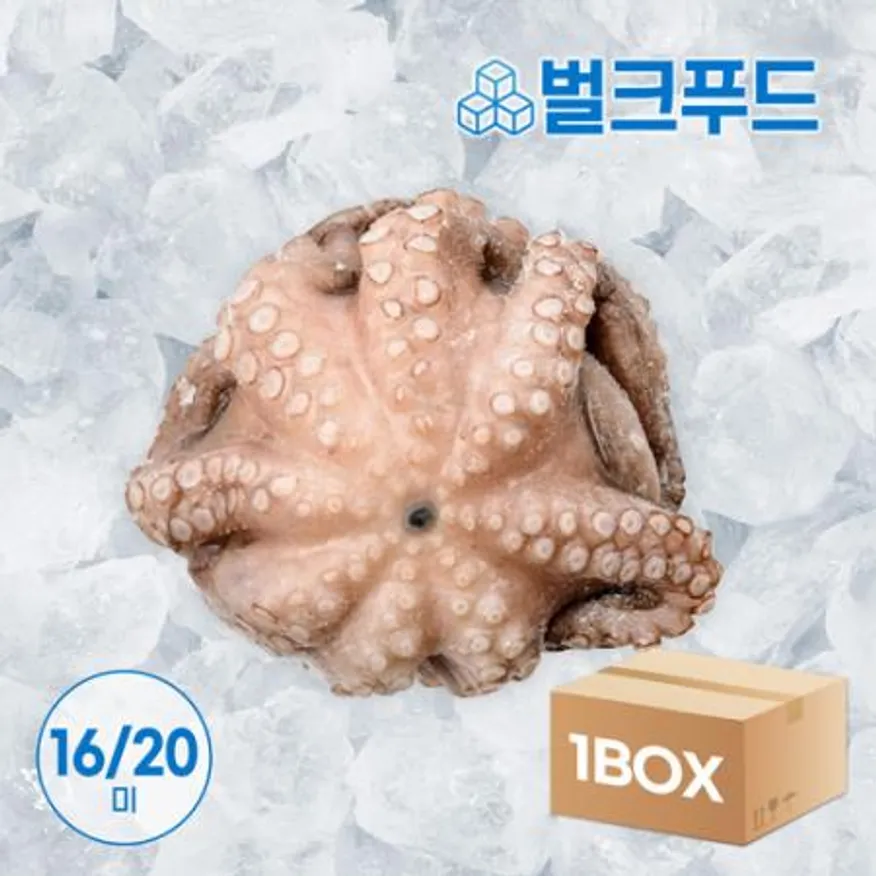 모리토니아 세척 냉동문어 8kg (16/20미) 업소용 손질 문어숙회 이미지