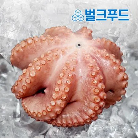 자숙문어 11미 8kg 냉동 손질 숙회 무침 이미지
