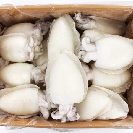 냉동 갑오징어 4kg(소) 100/200g