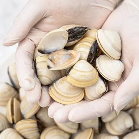 대용량 백합 조개 5kg(1kg x 5팩) 백생합 백상합 칼국수 이미지