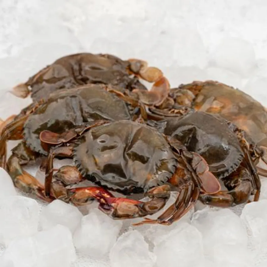 업소용 소프트쉘크랩 100/120 9kg(900g x 10팩) 냉동 탈피 꽃게 푸팟퐁커리 타이요리 이미지