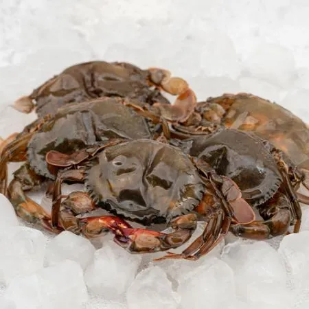 업소용 소프트쉘크랩 100/120 9kg(900g x 10팩) 냉동 탈피 꽃게 푸팟퐁커리 타이요리 이미지