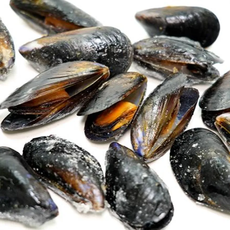 국내산 자숙 홍합 10kg 이미지