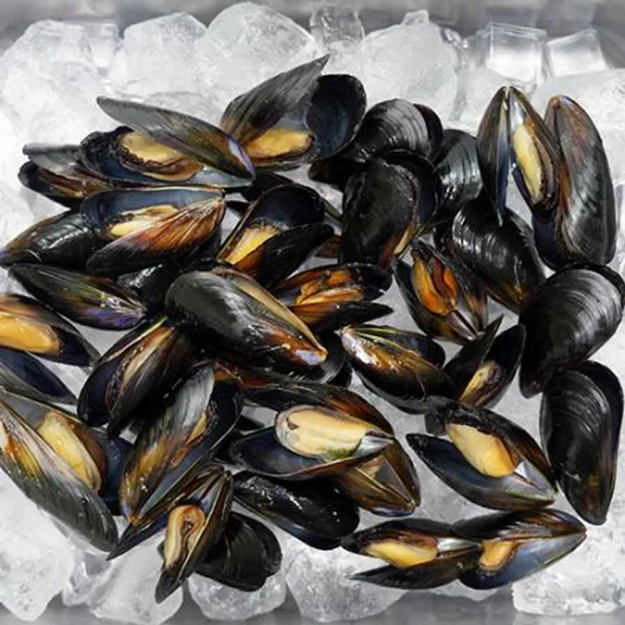 국내산 자숙 홍합 10kg 이미지