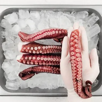 냉동 데친 문어다리 300g*5ea 마다가스카르 손질 숙회 자숙