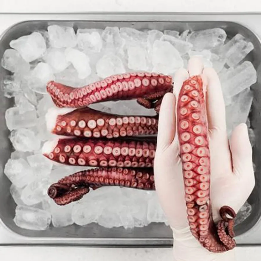 냉동 데친 문어다리 300g*5ea 마다가스카르 손질 숙회 자숙 이미지