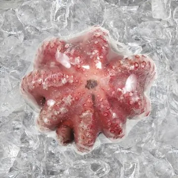 자숙문어 11미 8kg 냉동 손질 숙회 무침