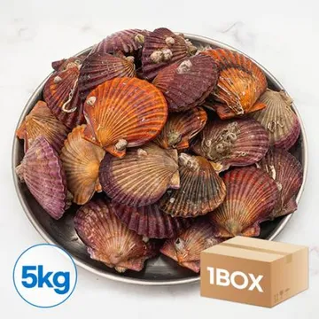 대용량 통영 홍 가리비 5kg 조개구이 찜 제철 생물 햇가리비