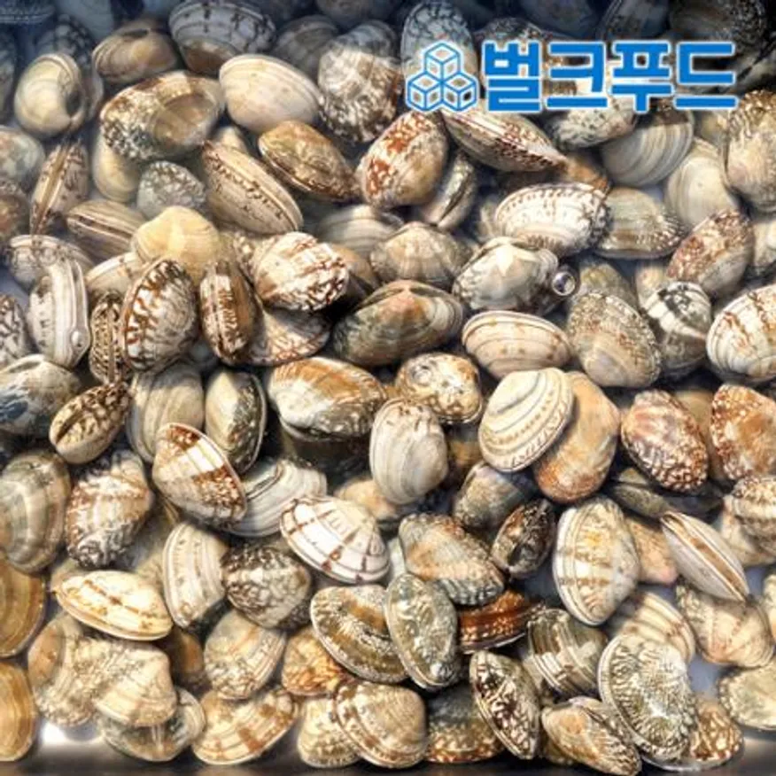 생물 바지락 10kg (칼국수, 술찜, 파스타) 이미지