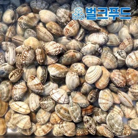 생물 바지락 10kg (칼국수, 술찜, 파스타) 이미지