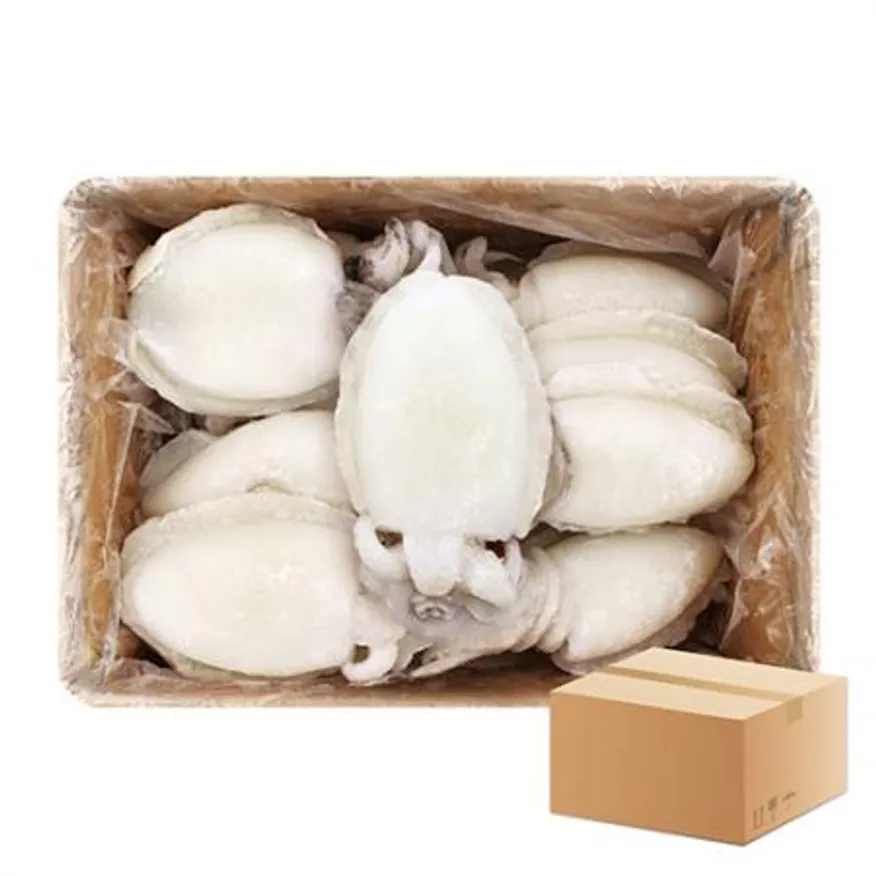 업소용 냉동 갑오징어 200/300 5kg 베트남 벌크 손질 생물급냉 이미지