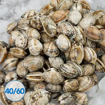 ★업소용 특가★냉동 바지락 5kg (해감, 칼국수, 피바지락)