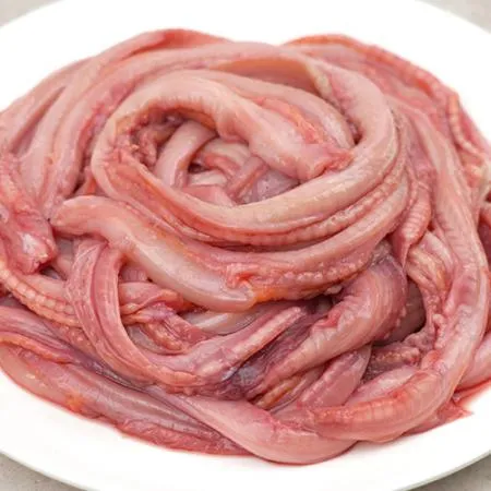 업소용 꼼장어 곰장어 950g 부산 자갈치꼼장어 구이 볶음 이미지