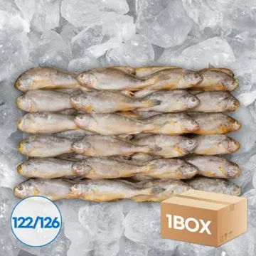 업소용 냉동 조기 참조기 61/63미 3.5kgx2박스