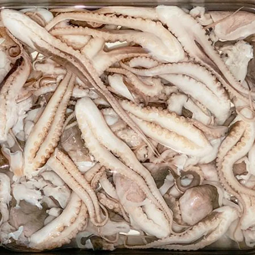 업소용 냉동 일반형 절단쭈꾸미(대)L 3kg 벌크 손질 쭈꾸미볶음 이미지