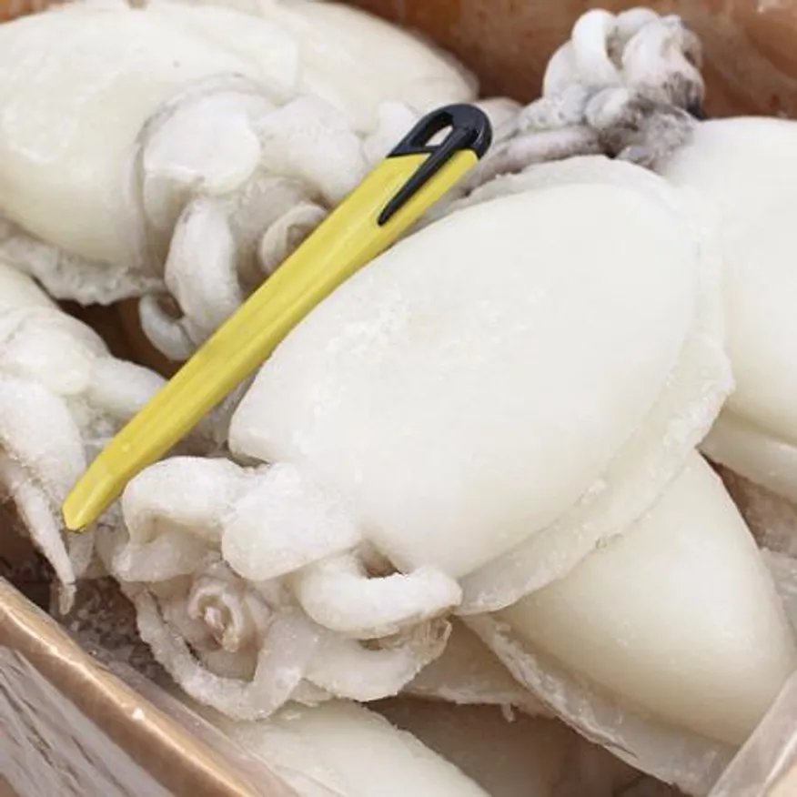 냉동 갑오징어 4kg(중) 200/300g 이미지