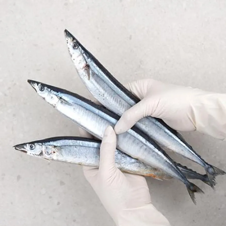 업소용 대용량 꽁치 9kg 냉동꽁치 2번 구이용 낚시용 생선 이미지