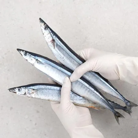 업소용 대용량 꽁치 9kg 냉동꽁치 2번 구이용 낚시용 생선 이미지