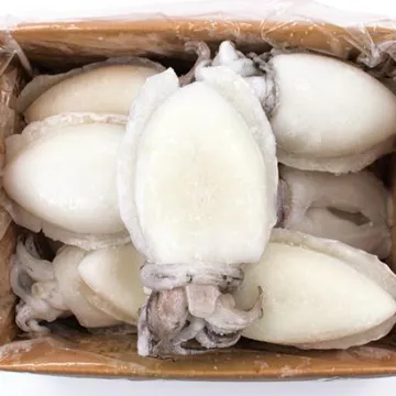 냉동 갑오징어 4kg(대) 300/500g