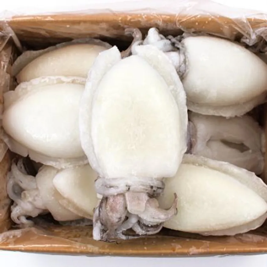 냉동 갑오징어 4kg(대) 300/500g 이미지