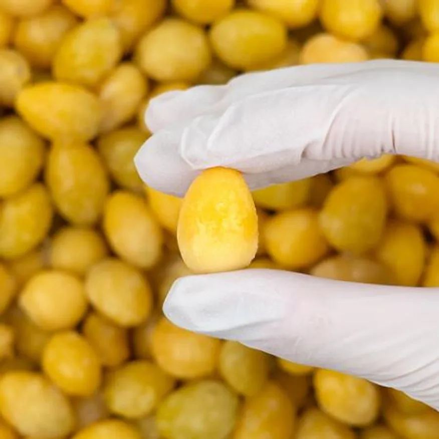 냉동 깐은행 900g 증숙 은행 꼬치 이미지