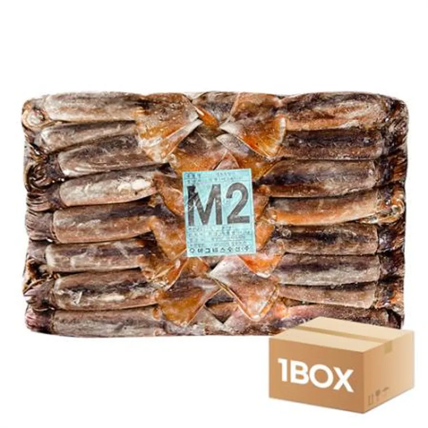 원양산 선동오징어 M2사이즈 20kg 이미지