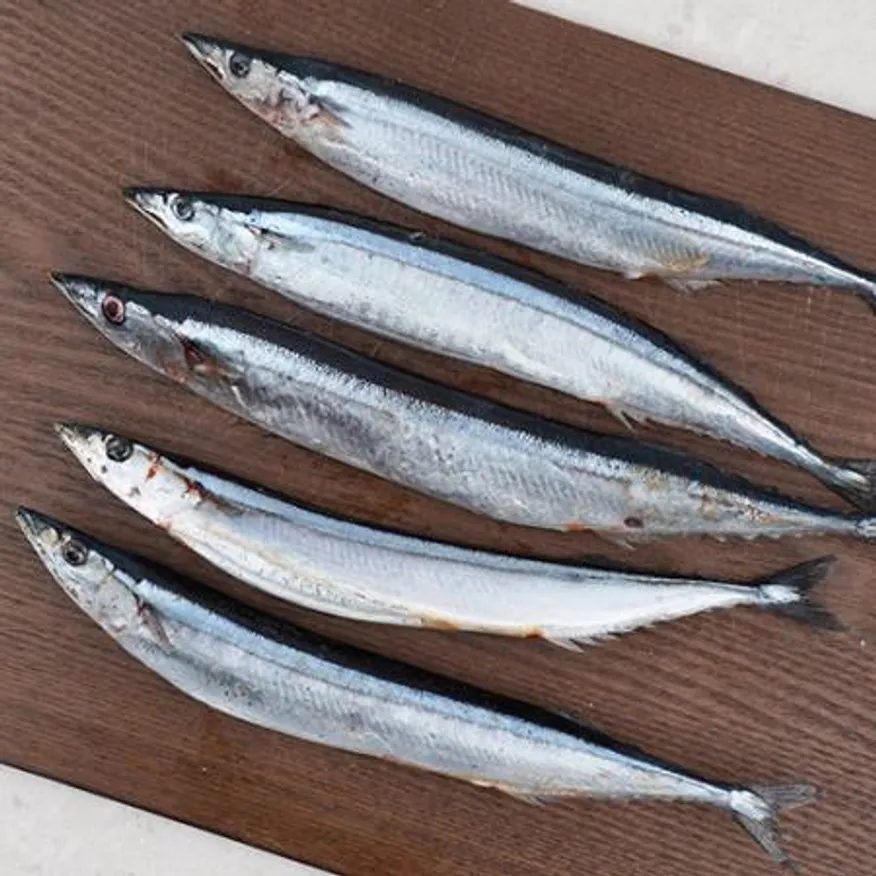 업소용 대용량 꽁치 9kg 냉동꽁치 2번 구이용 낚시용 생선 이미지