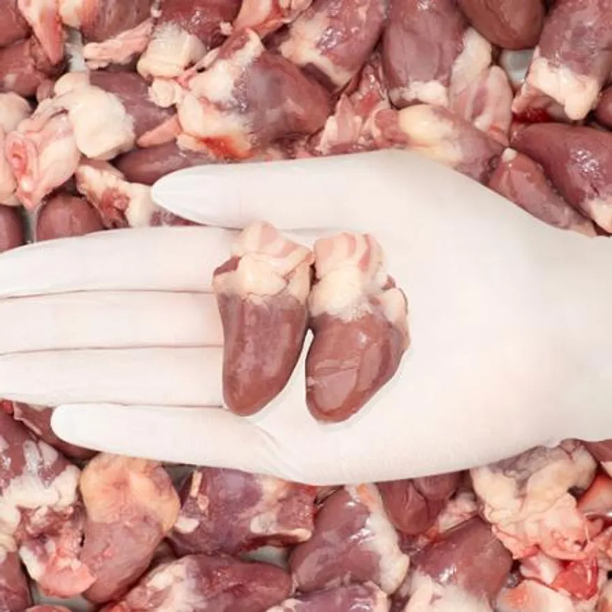 닭 염통 1kg 냉동 국내산 심장 특수부위 꼬치 구이 안주 이미지